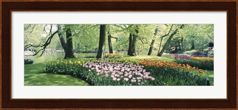 Framed Flowers in a garden, Keukenhof Gardens, Netherlands Print