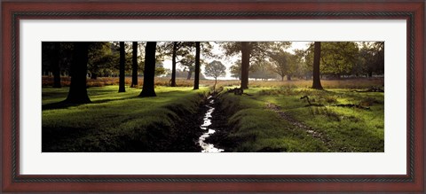 Framed Stream passing through a park, Richmond Park, London, England Print