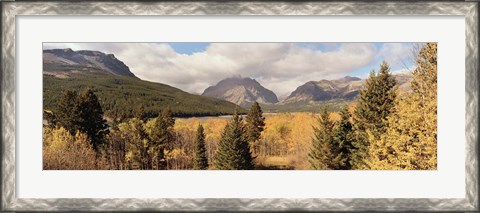 Framed Trees in a field, US Glacier National Park, Montana, USA Print