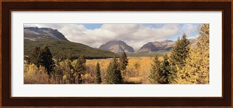 Framed Trees in a field, US Glacier National Park, Montana, USA Print