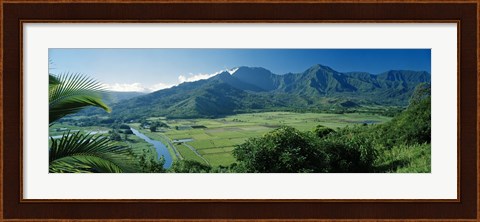 Framed High angle view of taro fields, Hanalei Valley, Kauai, Hawaii, USA Print