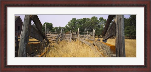 Framed Ranch cattle chute in a field, North Dakota, USA Print
