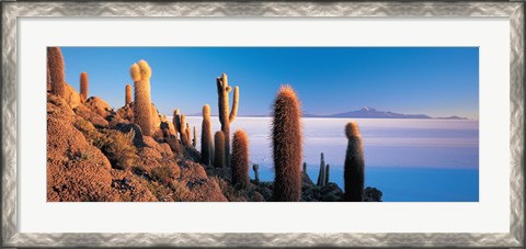Framed Cactus on a hill, Salar De Uyuni, Potosi, Bolivia Print