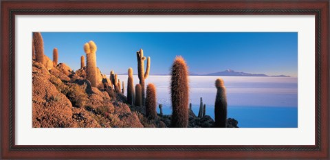 Framed Cactus on a hill, Salar De Uyuni, Potosi, Bolivia Print