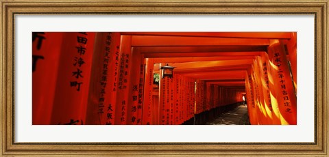 Framed Torii gates of a shrine, Fushimi Inari-Taisha, Fushimi Ward, Kyoto, Kyoto Prefecture, Kinki Region, Honshu, Japan Print