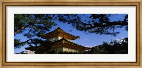 Framed Low angle view of trees in front of a temple, Kinkaku-ji Temple, Kyoto City, Kyoto Prefecture, Kinki Region, Honshu, Japan Print
