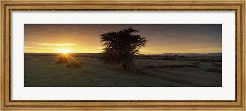 Framed Sunset over a landscape, Masai Mara National Reserve, Great Rift Valley, Kenya Print