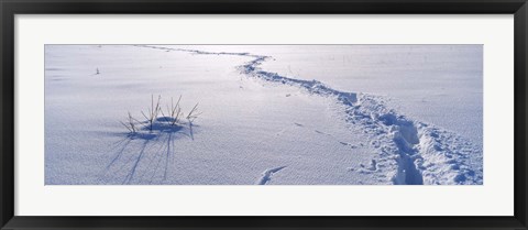 Framed Track on a snow covered landscape, Apennines, Emilia-Romagna, Italy Print