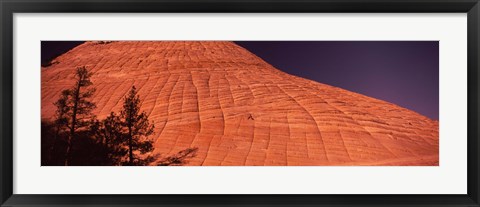 Framed Shadow of trees on a rock formation, Checkerboard Mesa, Zion National Park, Utah, USA Print