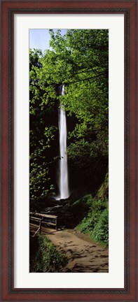 Framed Trail path by a waterfall, Columbia River Gorge, Oregon, USA Print
