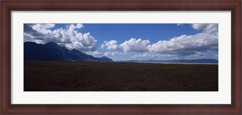 Framed Cattle pasture, Highway N7 from cape town to Namibia towards Citrusdal, Western Cape Province, South Africa Print