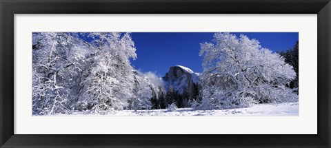 Framed Half Dome, Yosemite National Park, Mariposa County, California Print