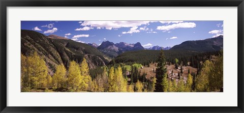 Framed Aspen trees with mountains in the background, Colorado, USA Print