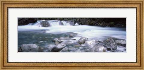 Framed River, Hollyford River, Fiordland National Park, South Island, New Zealand Print
