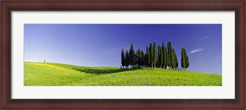 Framed Trees on a landscape, Val D&#39;Orcia, Siena Province, Tuscany, Italy Print