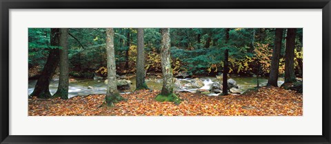 Framed River flowing through a forest, White Mountain National Forest, New Hampshire, USA Print