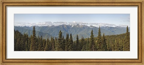 Framed Mountain range, Olympic Mountains, Hurricane Ridge, Olympic National Park, Washington State, USA Print