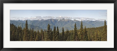 Framed Mountain range, Olympic Mountains, Hurricane Ridge, Olympic National Park, Washington State, USA Print