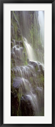 Framed Waterfall in a forest, Proxy Falls, Three Sisters Wilderness Area, Willamette National Forest, Oregon (black and white) Print