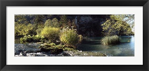 Framed Trees and plants at the lakeside, Plitvice Lake, Plitvice Lakes National Park, Croatia Print