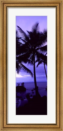 Framed Palm trees on the coast, Colombia (purple) Print