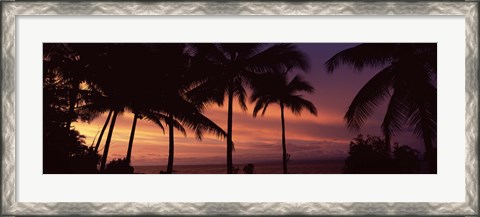 Framed Palm trees on the coast, Colombia (pink sky) Print