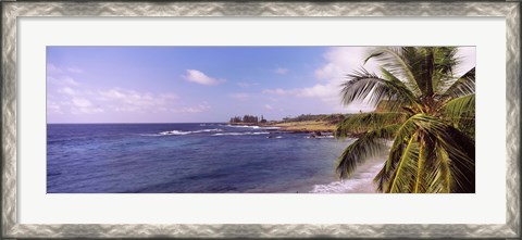 Framed Palm tree on the beach, Hamoa Beach, Hana, Maui, Hawaii, USA Print