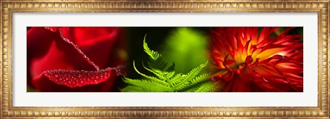 Framed Leaves and red flowers Print