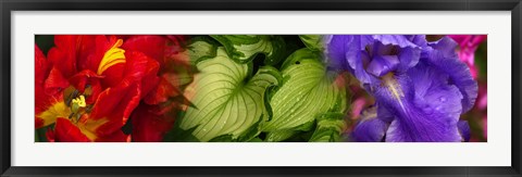 Framed Tulip and Iris flowers Print