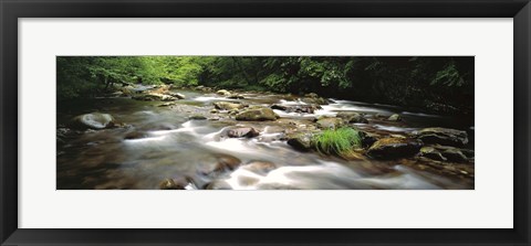 Framed River flowing through a forest, Little Pigeon River, Great Smoky Mountains National Park, Tennessee, USA Print