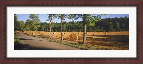 Framed Hay bales in a field, Flens, Sweden Print