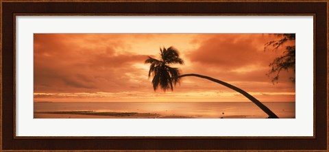 Framed Silhouette of an old palm tree on the beach at sunset, Aitutaki, Cook Islands Print