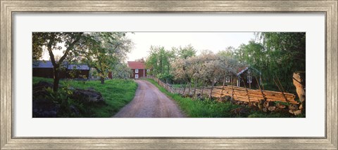 Framed Dirt road leading to farmhouses, Stensjoby, Smaland, Sweden Print