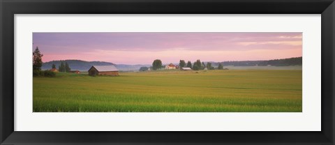 Framed Barn and wheat field across farmlands at dawn, Finland Print