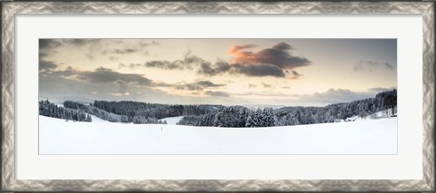 Framed Trees on a snow covered hill, Black Forest, Baden-Wurttemberg, Germany Print