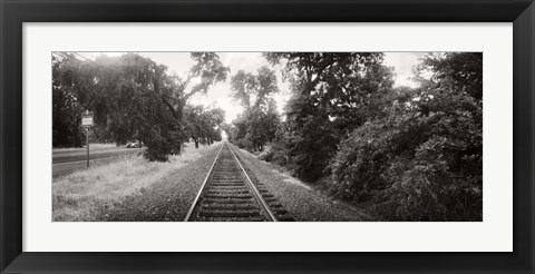 Framed Railroad track, Napa Valley, California, USA Print