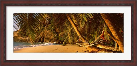 Framed Hammock between two palm trees, Seychelles Print