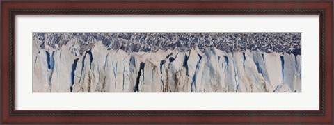 Framed Moreno Glacier, Argentine Glaciers National Park, Patagonia, Argentina Print