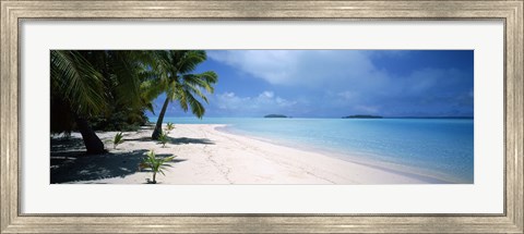 Framed Palm trees on the beach, Tapuaetai, Aitutaki, Cook Islands Print