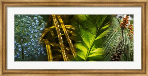 Framed Leaves with rain drops Print