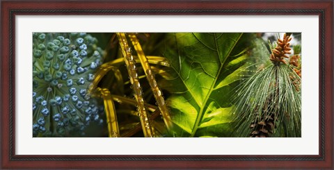 Framed Leaves with rain drops Print