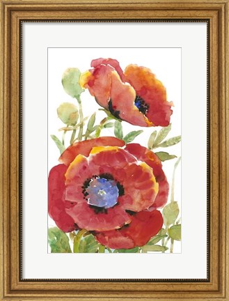 Framed Poppy Floral II Print