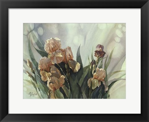 Framed Hadfield Irises II Print