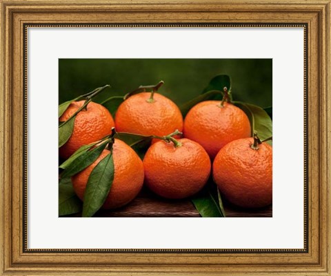 Framed Satsuma Tangerines II Print