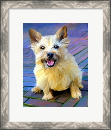Framed Cairn Terrier Print