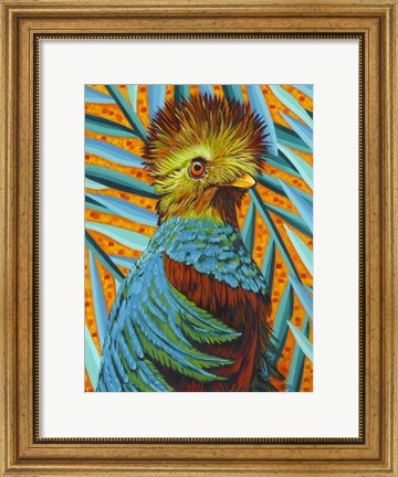 Framed Bird in the Tropics I Print