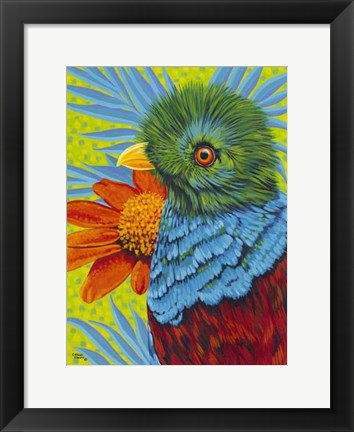 Framed Bird in the Tropics II Print