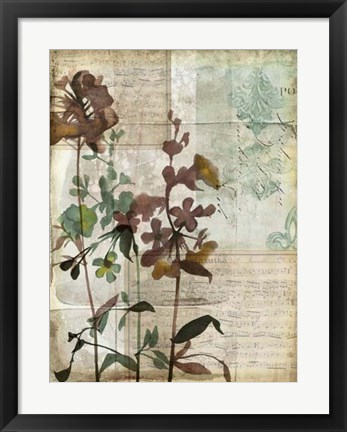 Framed Music Box Floral I Print