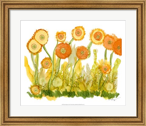 Framed Sunlit Poppies II Print