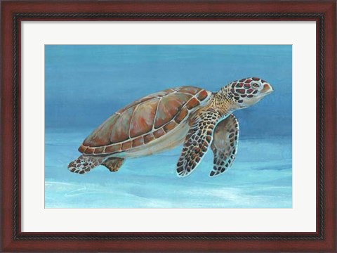 Framed Ocean Sea Turtle I Print